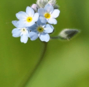 Atlas de la Biodiversité